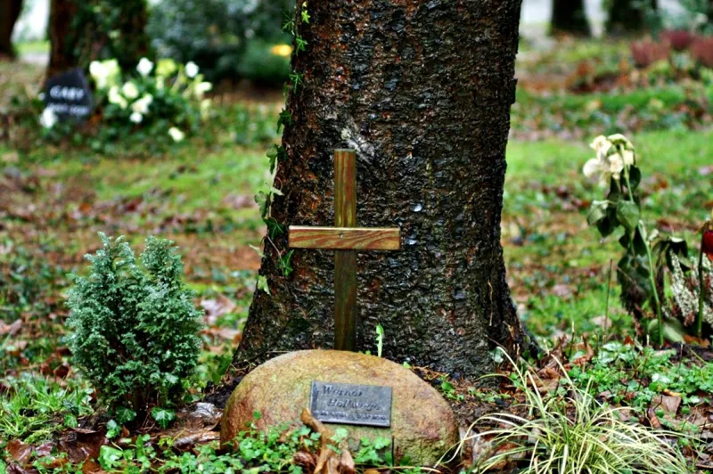 pasted-2026-06-06T15-56-05.png