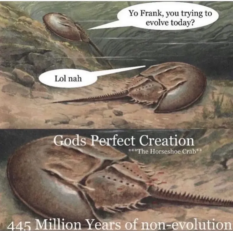1fde0c4dffbc3be481a89b1d0587e05f19b71593036c93d54a8a5a456b2ccd4e.png