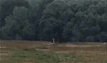 0c62f822ec100130fd930f73aafc13c739ce484c7d14dba5f10a88765bda9f3b.gif