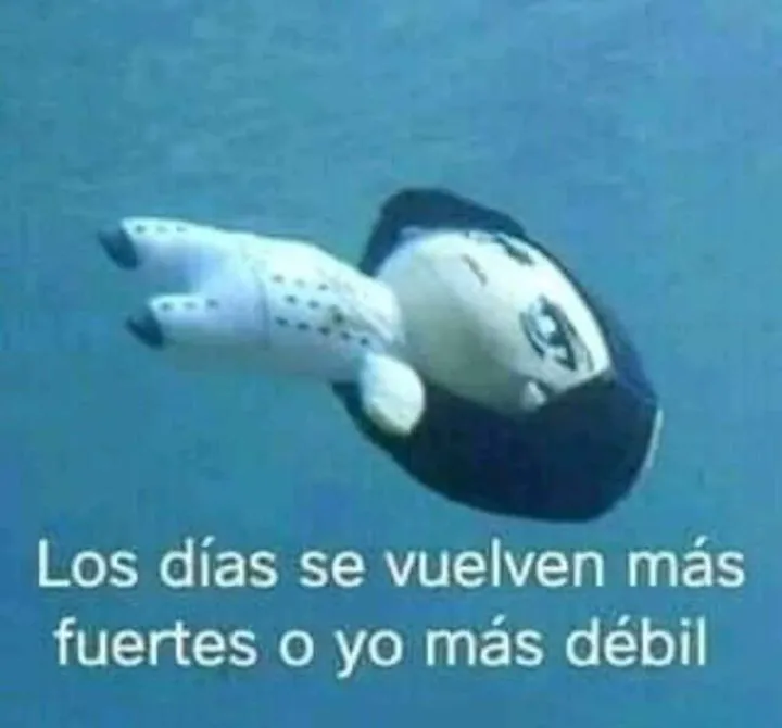 20e84ac95df142f8ce95e9006e85813e0c1b026cd89da84a689238a254593a36.jpg