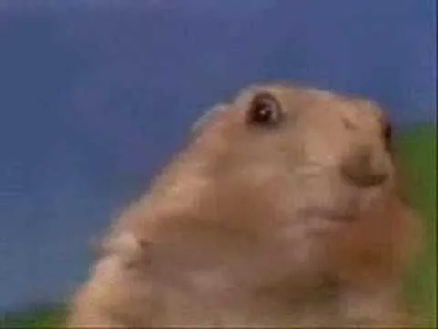 0234b9119b6fa0b05a9c12f34796d82a034b01d77269e536ed2ec14f598f6b12.jpg