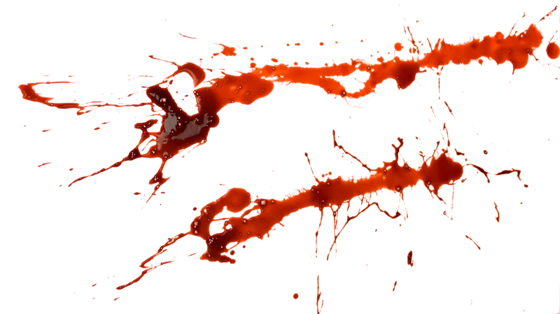 66613059fe32c5b3e2a097625c2bf5feaddfa7665896a10236d490dd34a0c790.png