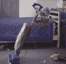 7c6195e19c8623f90fa71e99405c9ad10b980576f30e02ef7c9fb22368647e52.gif