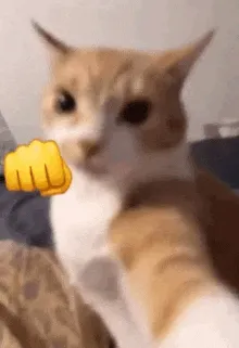 430483195dc8ac7067483ec3efd85044379bdf11b2ab1ac30151290861e731e5.gif