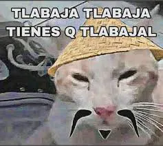 fa04c50ec600e5c535d1cf45557c3703ccaf3e0e40cb31ec16f099e27db13827.jpg