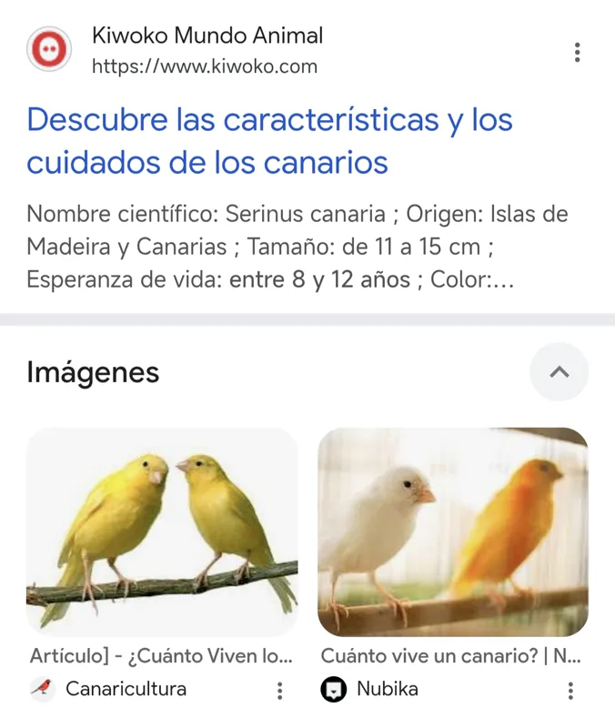 03207f23fb4fee94bcf41fdc0b969e70a2f28ad738763deff771d483257fddf6.jpg