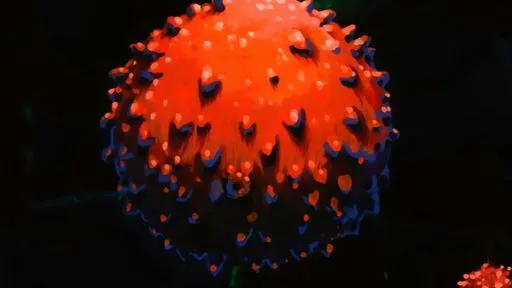 410ccaa00ca5f9ceb41c4b2c0f019cb99660161385bfd4a2fd4af2b18ee844eb.jpg