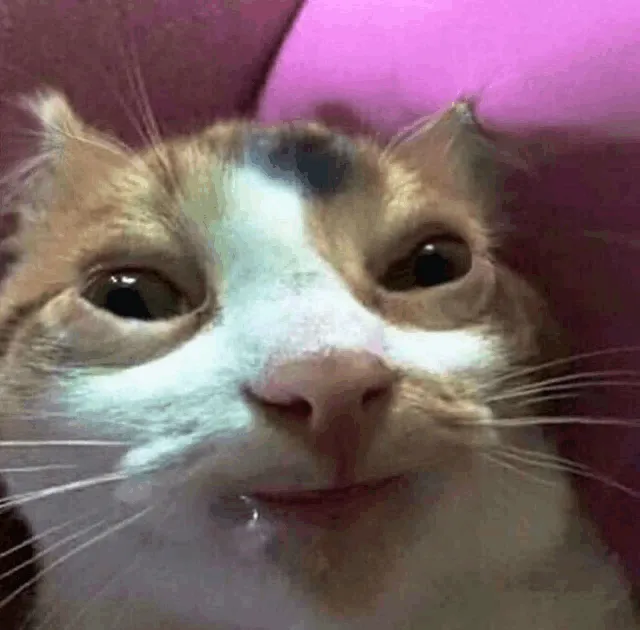cb0a78d0ec96b604bd7d486b99d626050bf6883ffc3cdf11ff4bdb2fd499af0f.gif