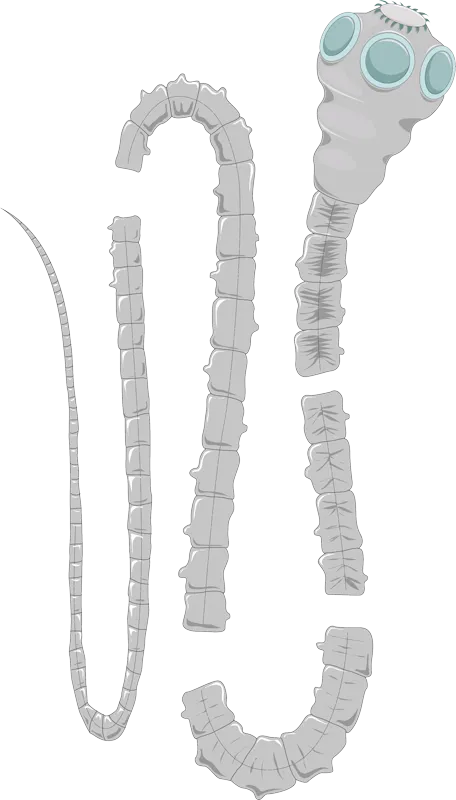 f87104902b34b6c16f175a19e604cb867f19bb236ce96beeeb985b64f9b07491.png
