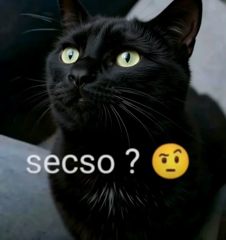 0a3e2c07d612b1745d14174596bf385778b44fdb61b0331da76763dc1aa9dd54.webp