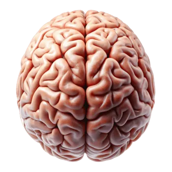 9aebe2df100b301176a1c48ee80f9146b3c006076ed18d391627b15a287d0326.png