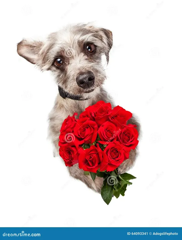 09f1b8195187ab77e0660a1a01a525dad6039a80c3aad8cffcc66e8943feebf6.png