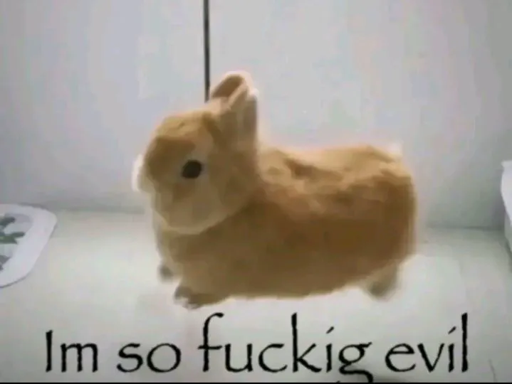 12eb1ad82996726e091ceeb3597b76afe9a20d72d3c5a7eb19eff186e3899d62.jpg