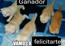 eb0539025383881d876e7373940eeb316ac2a3d1617f504e4b1ce5543c7c0e9b.jpg