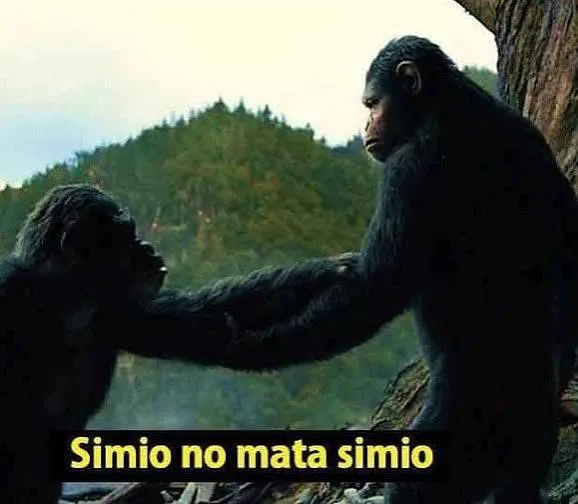 4d7d927564c36db8a4aba6a725db9de416a15dd51f2016b5270e4efac2f7886b.jpg
