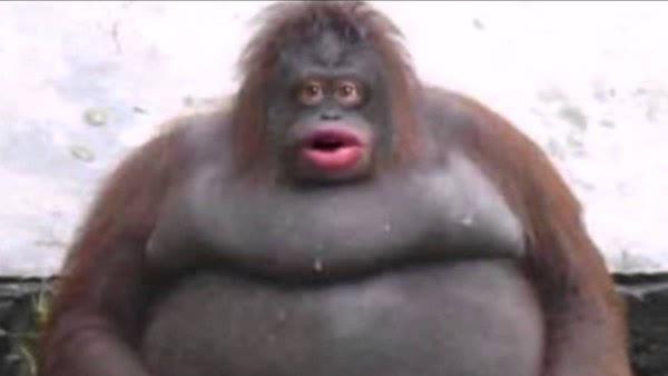 f7633c4250ff002453091a988bcdf315684dc56791c37370ee502fdb8af2bece.png