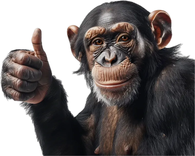 a5ddbf85afe70c27a5b367ab98fbdc880c9769b23fbd1c315daa122f166c8213.png