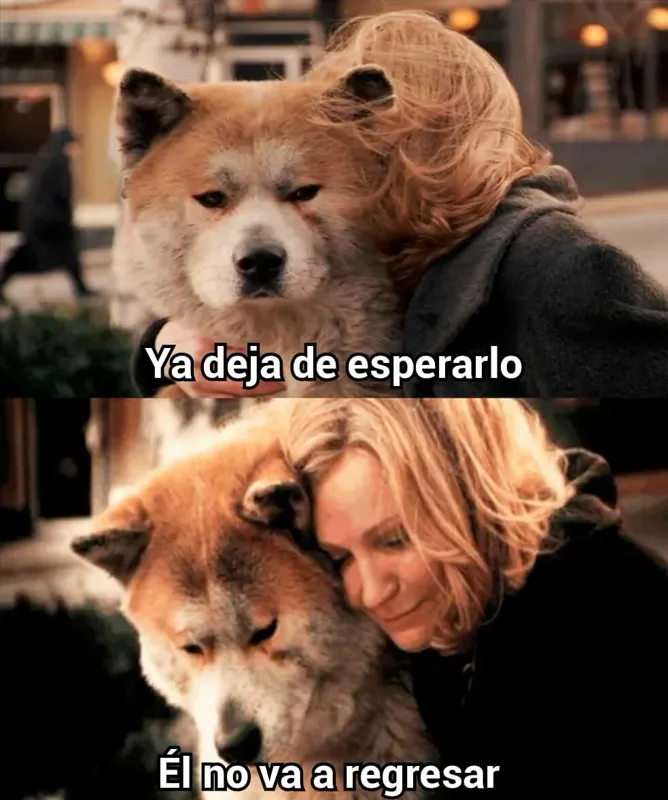 80dcbc9ba65e16c752e2311b660f72c40bb732f87890727cecda63699420af80.jpg