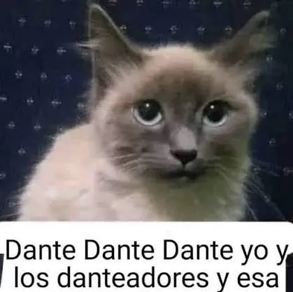 f3fd2a9dd904f5c5d20b6b2999700e6d1afce7243098fa056905c0f158a4f208.jpg