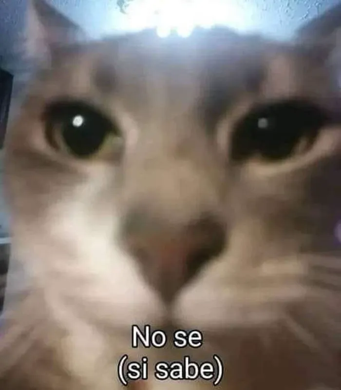 9effd7ab2b0f7f9ca63376893d7f31c548ec30ee609adfa02d4b2f38cc9299d5.jpg