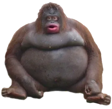 2472f735b85e670fa04404048c7df0a29c728e6430e1fab1f57d269b7c6c34f6.png