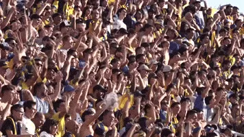 35a7845e03079542e8d333dfe85954e2c9cde083d61e978731aeb34e8b274ad0.gif